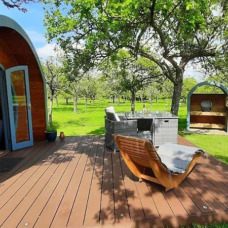 Orchard Farm Luxury Glamping And Campsite Glastonbury Extérieur photo