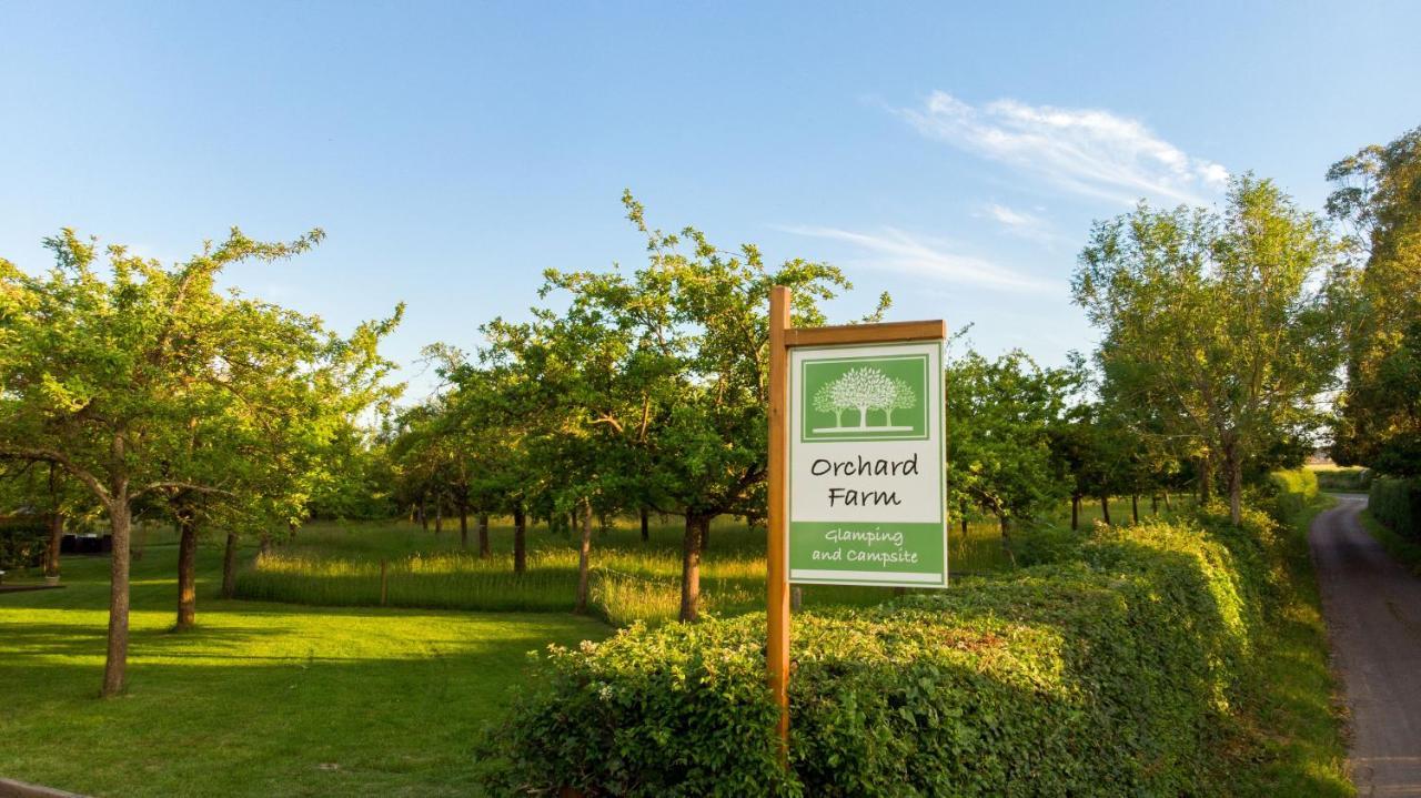 Orchard Farm Luxury Glamping And Campsite Glastonbury Extérieur photo