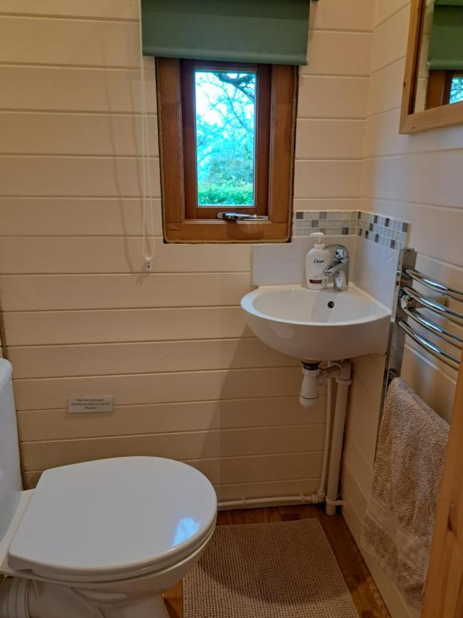 Orchard Farm Luxury Glamping And Campsite Glastonbury Extérieur photo