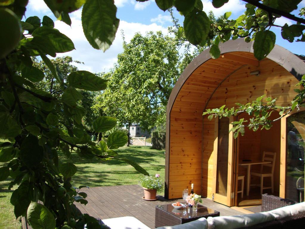 Orchard Farm Luxury Glamping And Campsite Glastonbury Extérieur photo