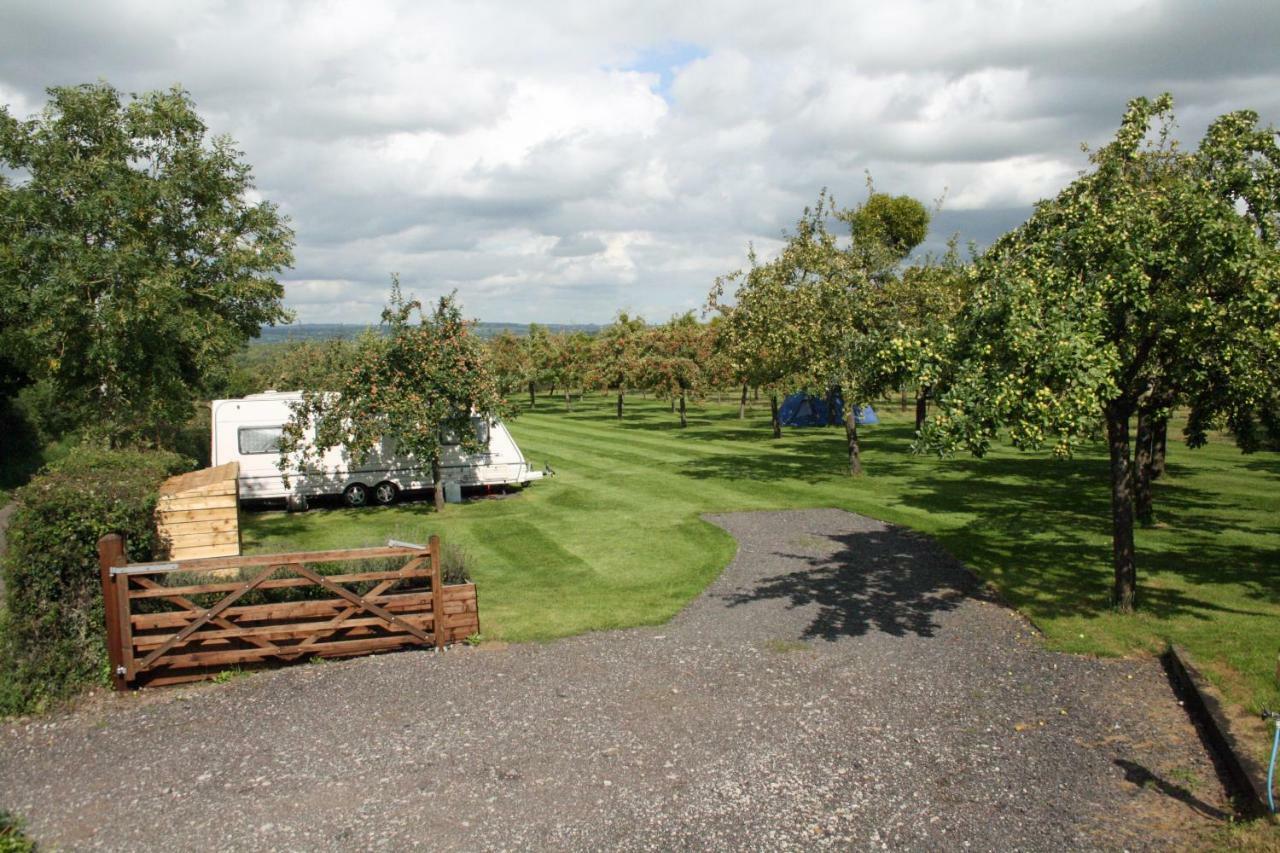 Orchard Farm Luxury Glamping And Campsite Glastonbury Extérieur photo